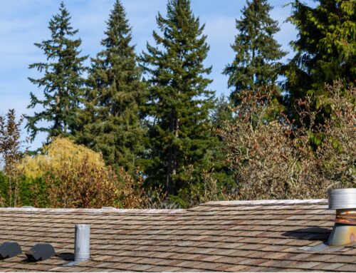 6 Critical Areas of Roof Maintenance this Spring